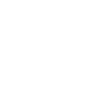finance icon