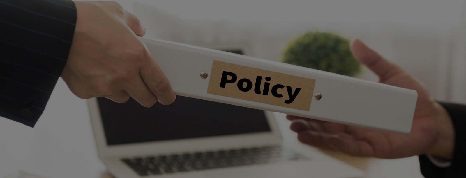 Policy Development — Cybersecurity Consulting Services