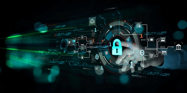 Web application security testing